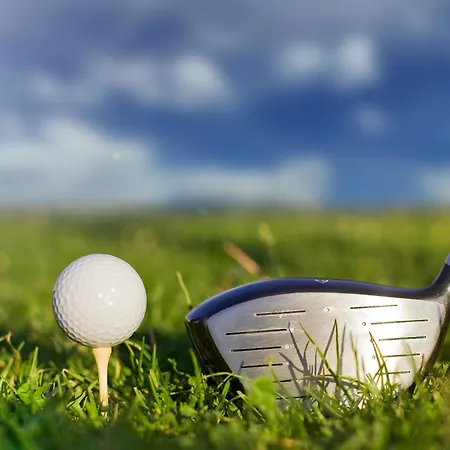 Rebhang Nahe Dem Golfplatz Und Den Thermen バート・ベリンゲン